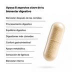 DS-03 Digestive System
