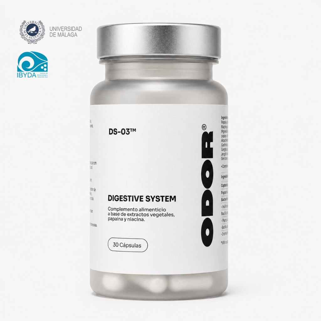DS-03 Digestive System