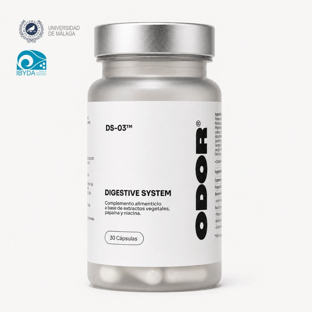 DS-03 Digestive System