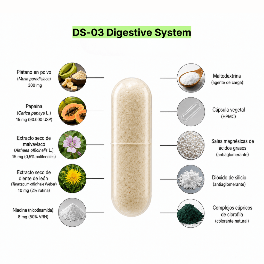DS-03 Digestive System